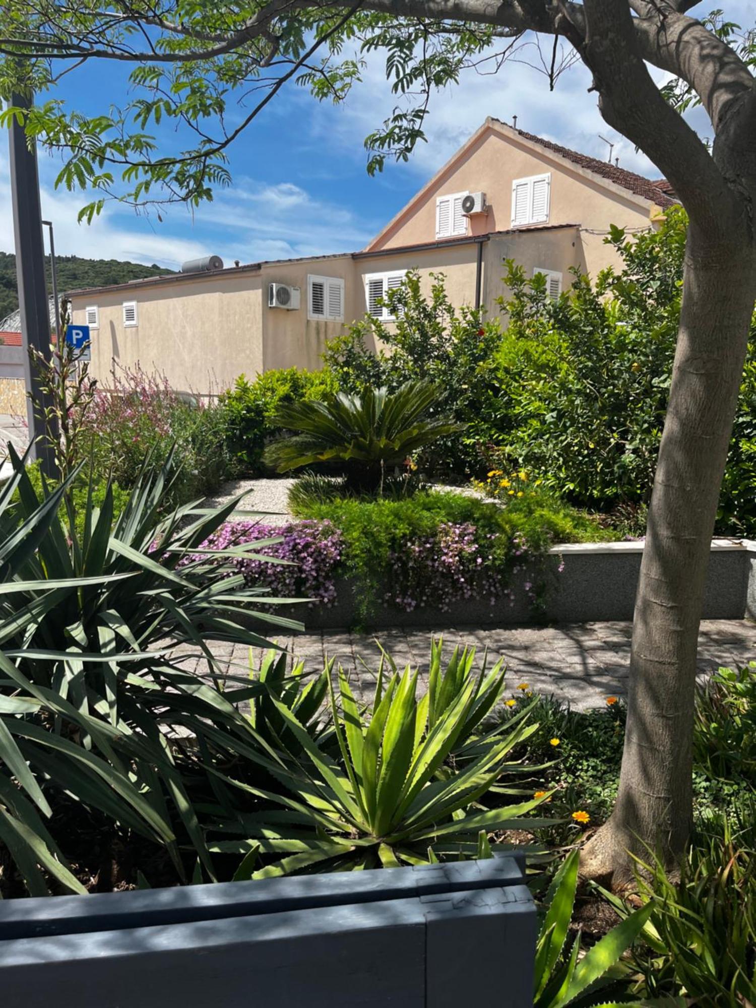 Tianri Lägenhet Korčula Exteriör bild