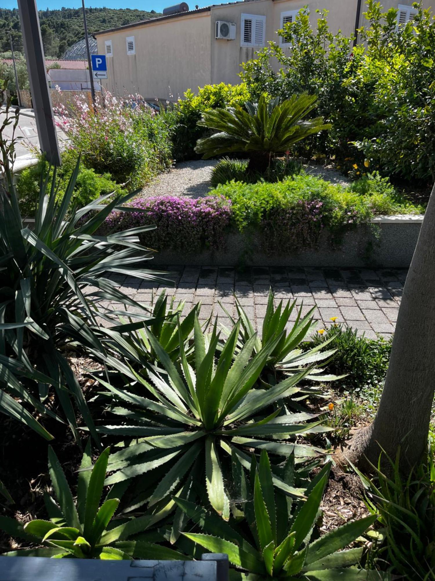Tianri Lägenhet Korčula Exteriör bild