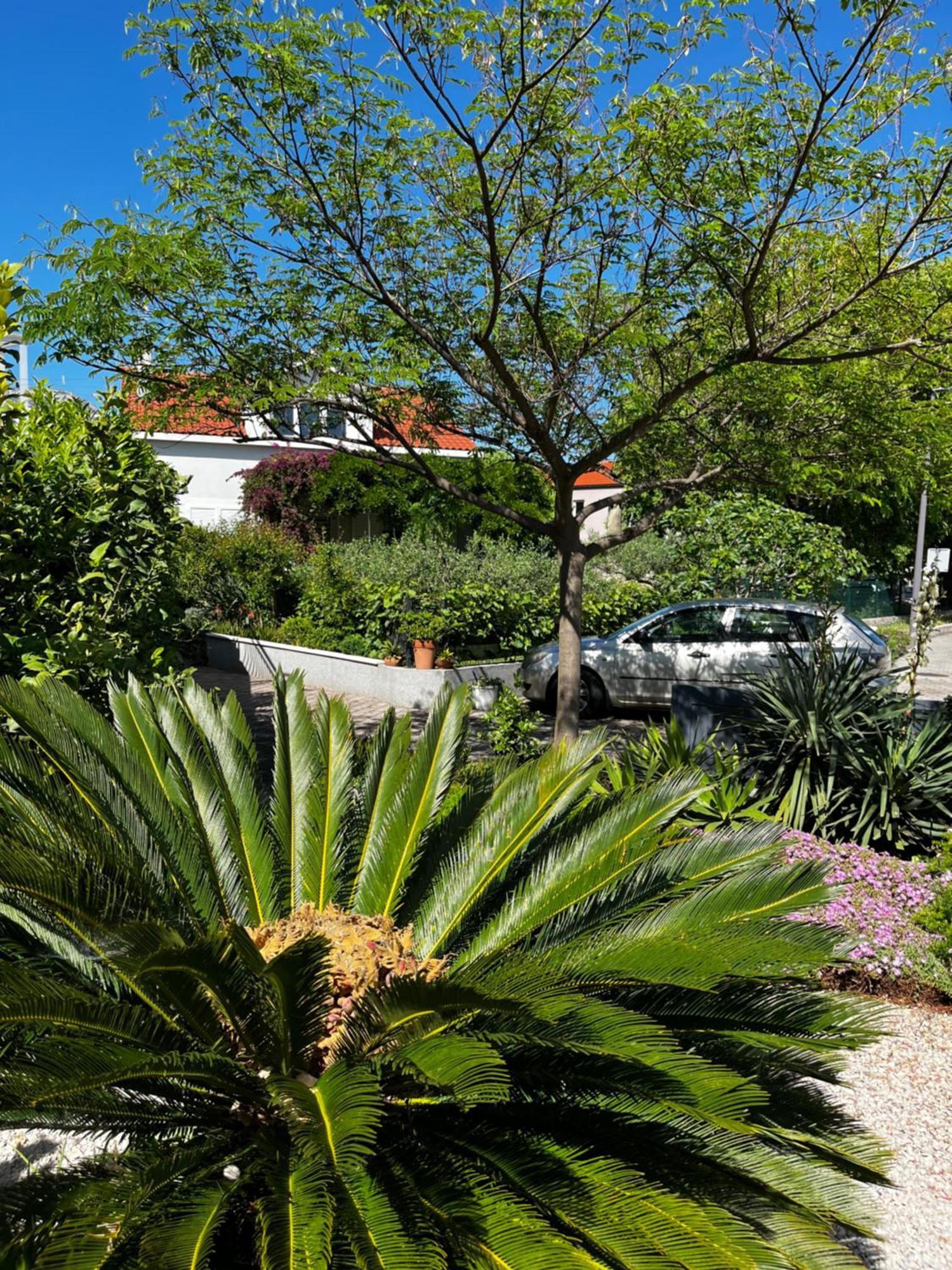 Tianri Lägenhet Korčula Exteriör bild